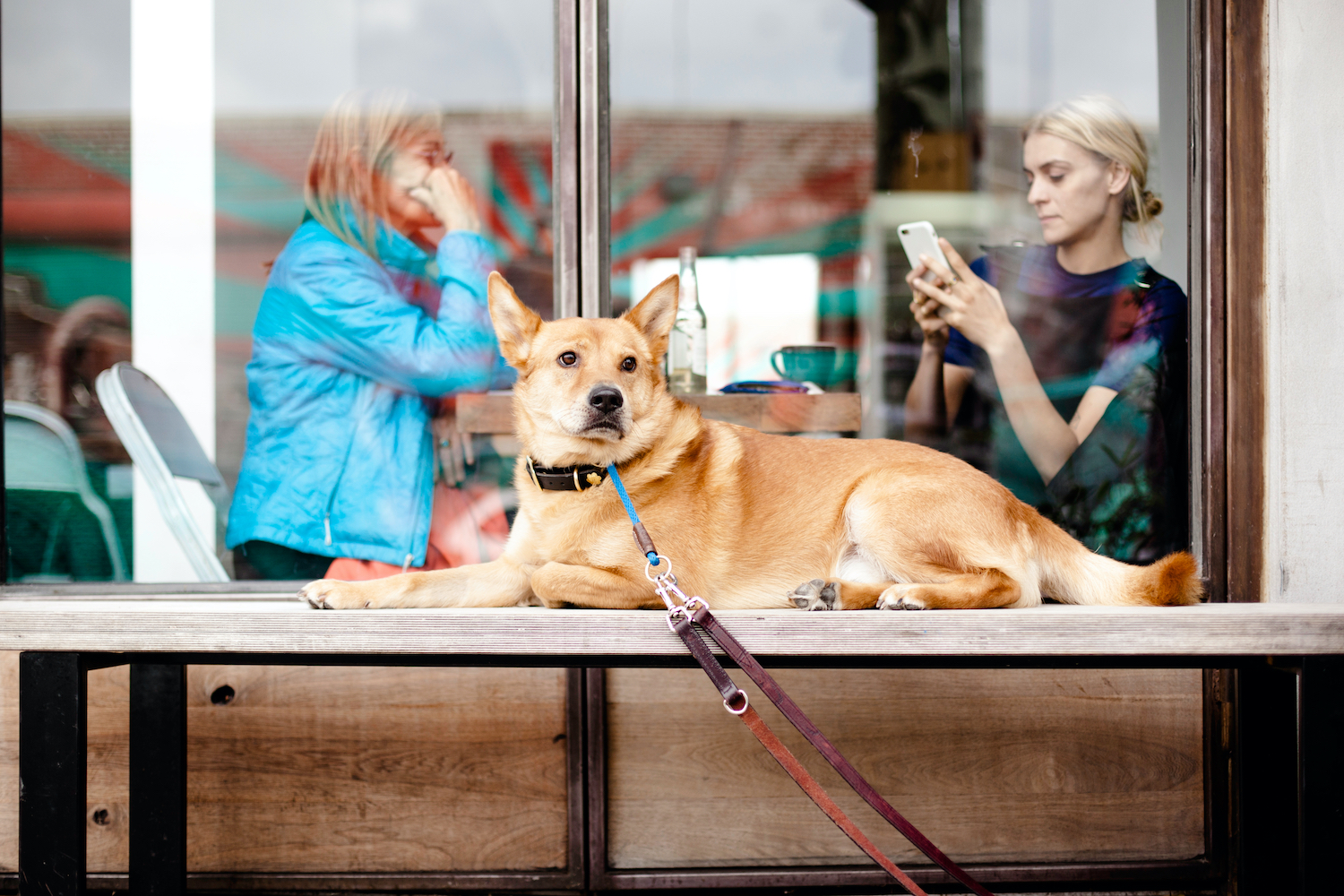 So you think you know brand strategy? Take our brand quiz! Part 7
